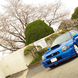 インプレッサ WRX STI GDB