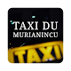 Download Taxi du Murianincu For PC Windows and Mac 1.4.0