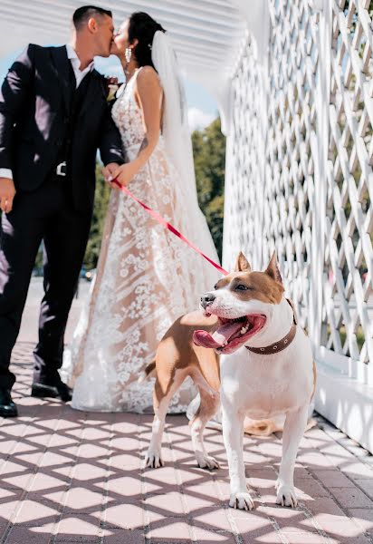 Fotografo di matrimoni Svetlana Gosteva (sgcolibri). Foto del 27 giugno 2019