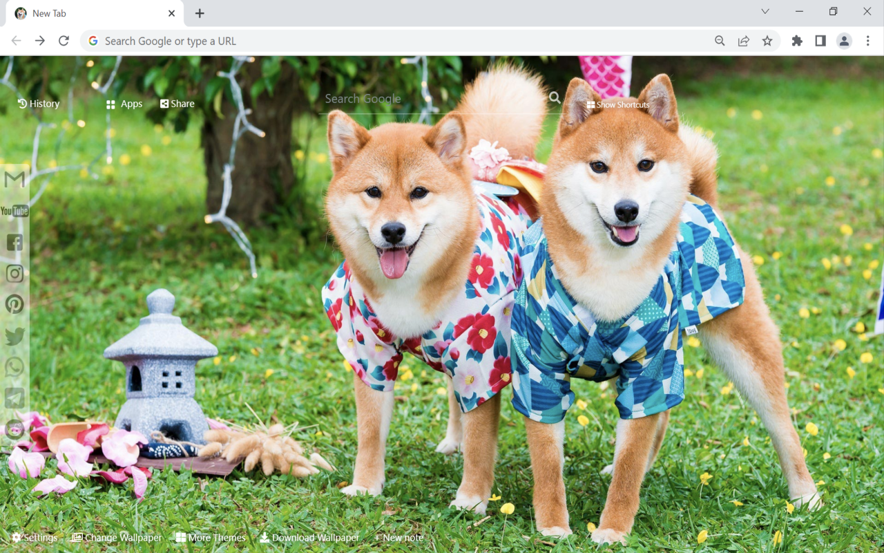 Shiba Inu Wallpaper New Tab Preview image 1