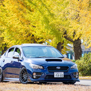 WRX S4 VAG