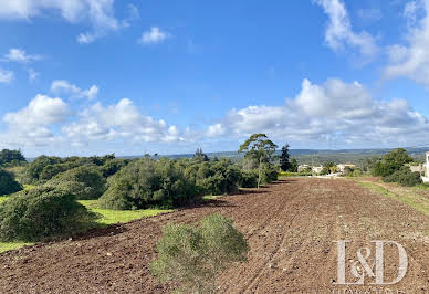 Terrain avec vue panoramique 4