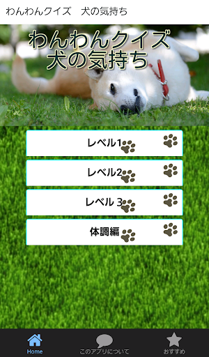 わんわんクイズ 犬の気持ち