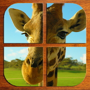 Zoo Animal Puzzle (FREE) 1.4 Icon