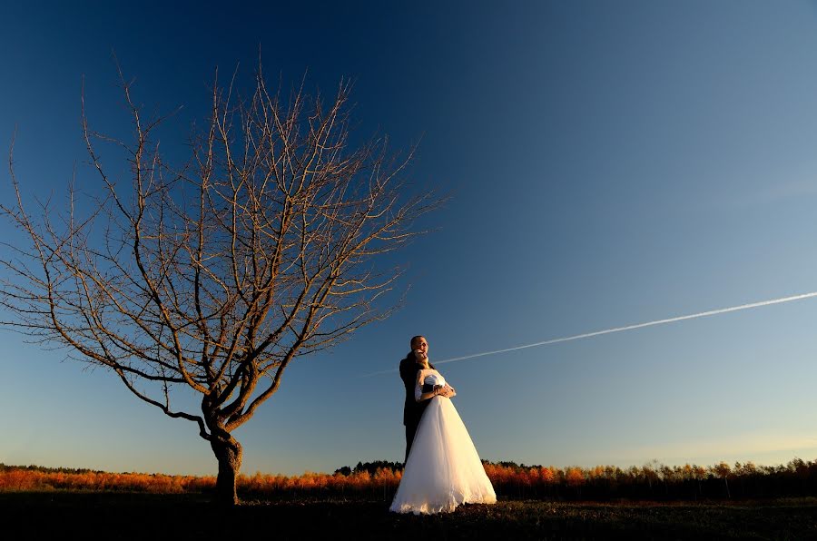 Photographe de mariage Serhii Delidon (delidon). Photo du 18 avril 2015