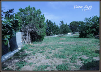 terrain à Pépieux (11)