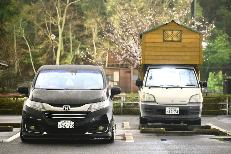 オデッセイのGooseBumpsさん・夜中のカメ活・桜に関するカスタム事例の投稿画像3枚目