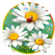 Chamomile Flowers Ladybags  Icon