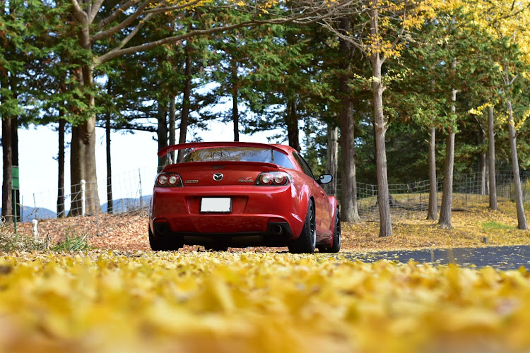 RX-8の愛車・一眼レフ初心者に関するカスタム事例の投稿画像4枚目
