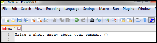 Notepad file with the following text: Write a short essay about your summer. { }