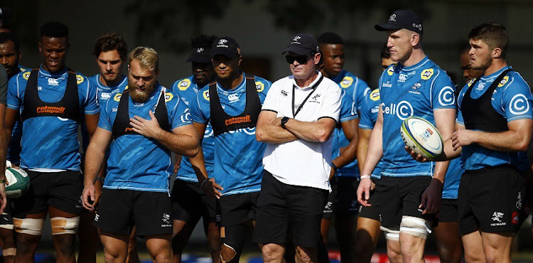 The Cell C Sharks coach Sean Everitt has guided his team to the top of the standing before the Super Rugby tournament was halted due to the coronavirus.