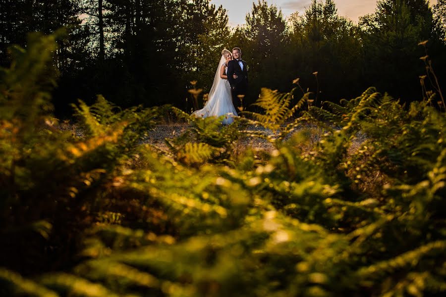 Wedding photographer Catalin Gogan (gogancatalin). Photo of 24 April 2020