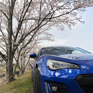 BRZ ZC6