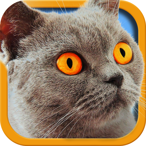 Cat Simulator 2 icon