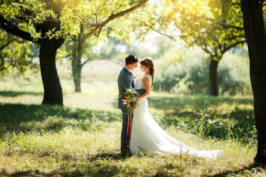 Wedding photographer Elena Serdyukova (elenaserdyukova). Photo of 5 December 2016