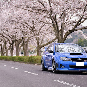 インプレッサ WRX STI GVF