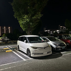 エスティマ ACR50W