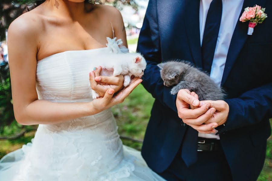 Fotografo di matrimoni Lesha Novopashin (alno). Foto del 30 aprile 2014