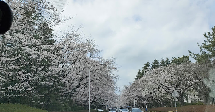 の投稿画像2枚目