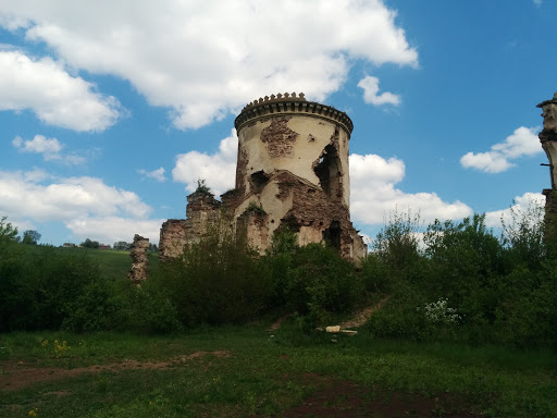 Руіни Червоногородського Замку