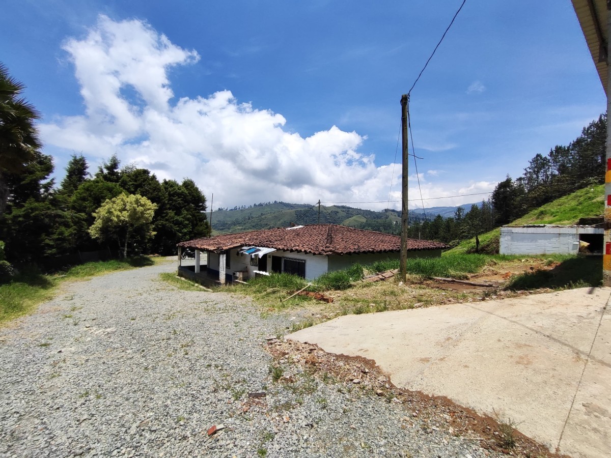 Bodegas para Arriendo en Caldas