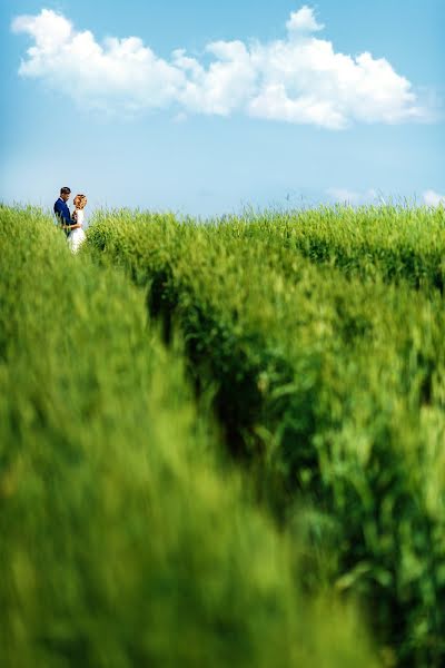 Wedding photographer Aleksandr Sherikov (sherikov). Photo of 21 October 2016