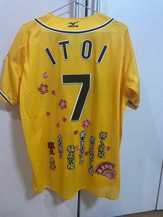 RX-8の雪からの洗車・阪神タイガース・糸井嘉男・なんでもカスタム・セキュリティは暖かくなってからに関するカスタム事例の投稿画像3枚目