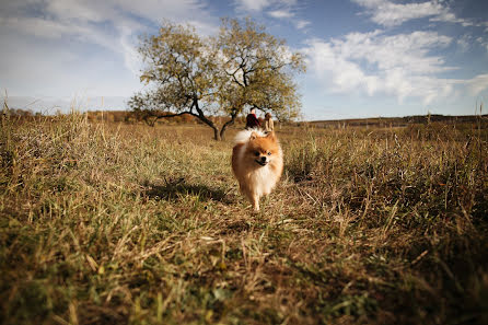 Весільний фотограф Артур Гусейнов (photogolik). Фотографія від 31 січня 2018