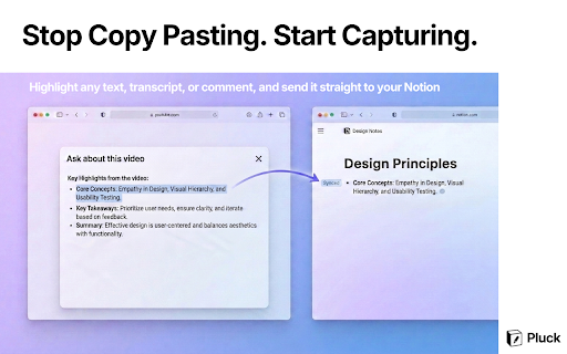 Pluck — YouTube Transcripts & Notes to Notion screenshot 6