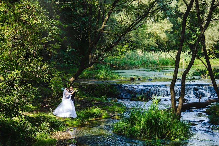 Fotógrafo de casamento Tatyana Palokha (fotayou). Foto de 19 de janeiro 2016