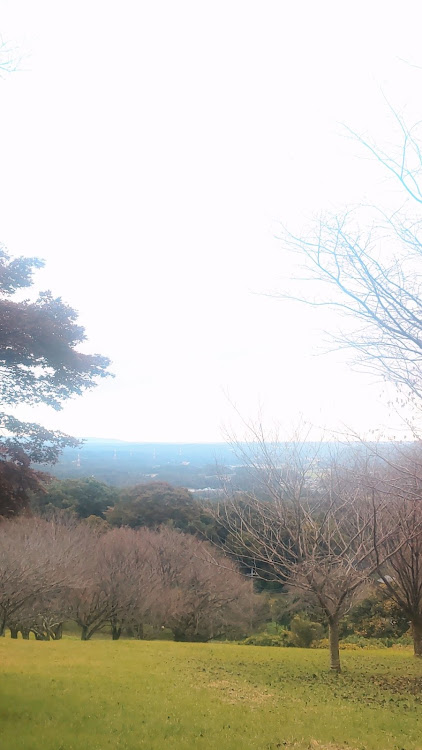プリウスの三王山自然公園に関するカスタム事例の投稿画像9枚目