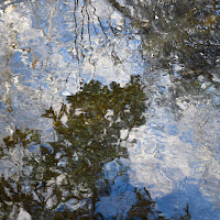 CLOUDS AND TREES REFLEXION 