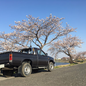 ダットサントラック 4WD