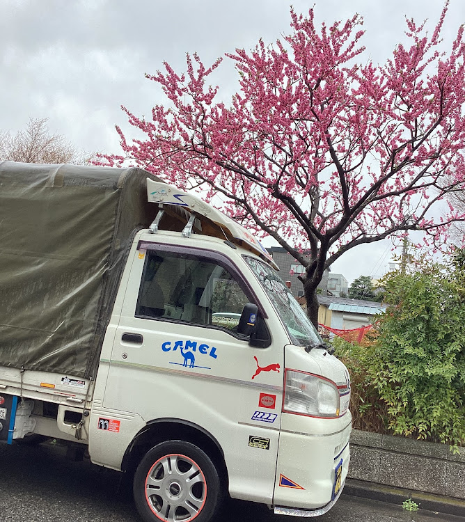 コペンの春爛漫！季節を楽しみましょう！最高だね！・日本の四季を楽しみましょう！春爛漫！最高だね！・１日！一日を大切に！二度と来ない日々です！今を最高に生きる！・たわい無い平凡な暮らしにこそ幸せ有り！最高だね！・たわい無い事柄に感謝！最高だね！に関するカスタム事例の投稿画像212枚目
