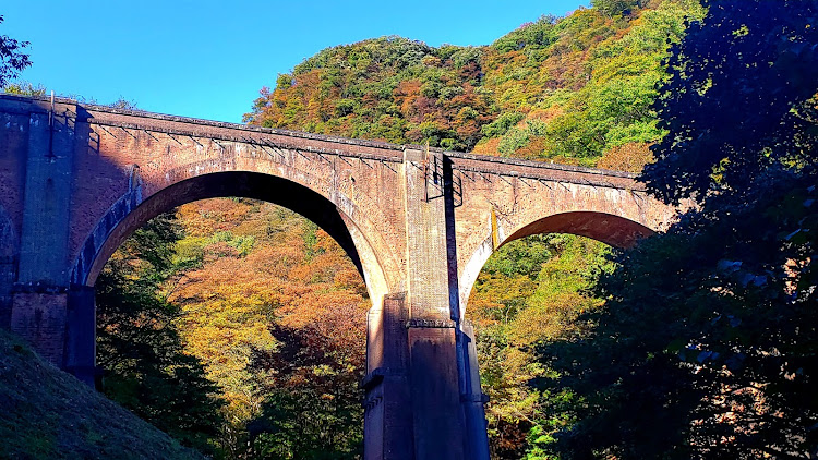 の投稿画像25枚目