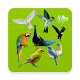 Download 160+ Birds Sounds For PC Windows and Mac 1.0