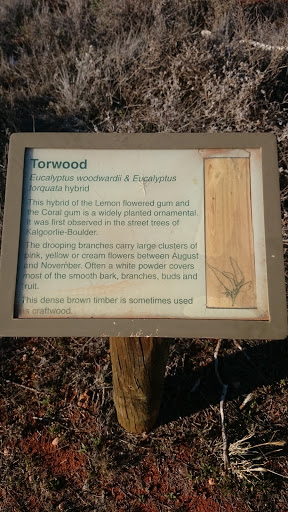 Torwood