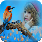 Birds Photo Frames  Icon