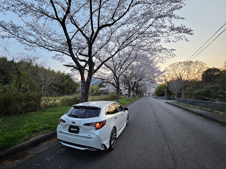 カローラツーリングの桜と愛車・サクラと愛車・カローラツルりんぐに関するカスタム事例の投稿画像15枚目