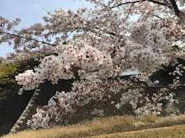 何かリクエスト募集～