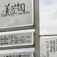 菁芳園 Tenway Garden／花園餐廳／落羽松