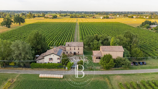 Vineyard estate with farm buildings and vines - Prestige property for sale in Formigine, 30 rooms, 11 bedrooms