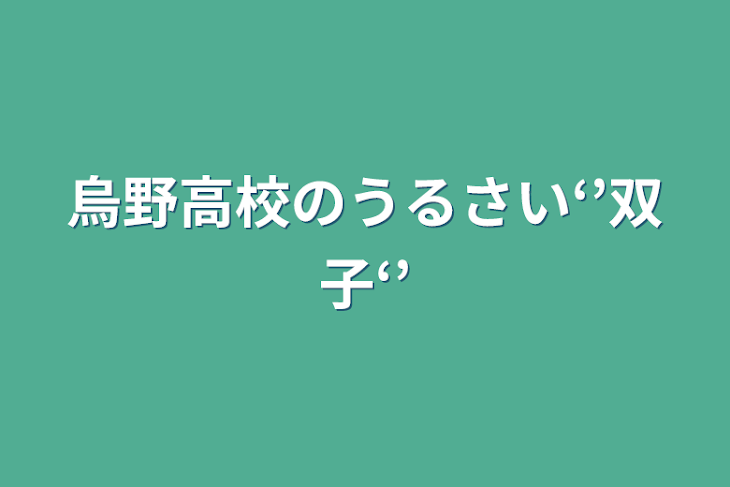 「烏野高校のうるさい‘’双子‘’」のメインビジュアル