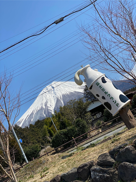 の投稿画像4枚目