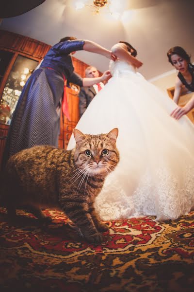 Fotógrafo de bodas Aleksandr Bogoradov (ctsit). Foto del 4 de mayo 2015