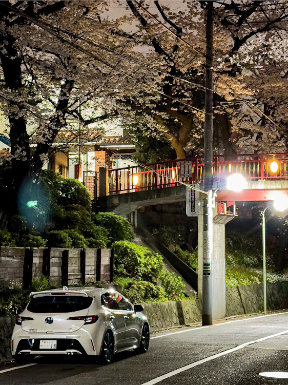 カローラスポーツのサクラと愛車・桜🌸とコラボ・お気に入り桜スポット・discover＿ctに関するカスタム事例の投稿画像8枚目
