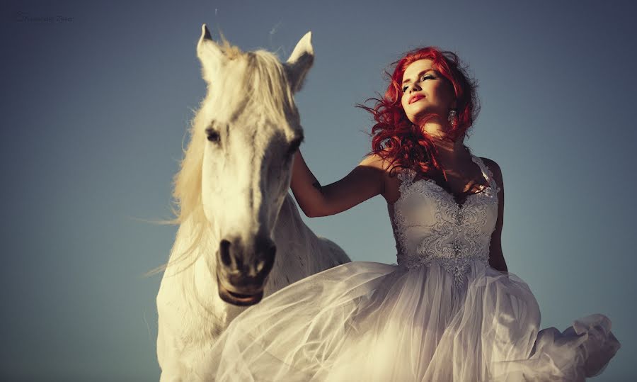 Свадебный фотограф Alexander Zitser (weddingshot). Фотография от 26 февраля 2016