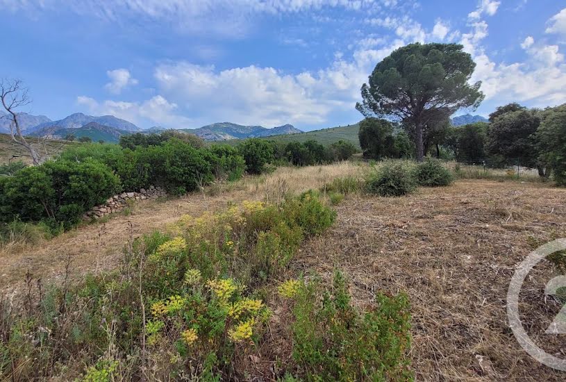  Vente Terrain à bâtir - à Calenzana (20214) 