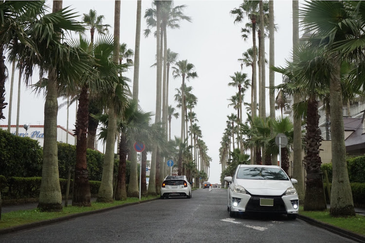プリウスのteam G's TOYOTA specialist・puriten family・golazo photo・関東TOUR2020〜絆〜・チーム横横に関するカスタム事例の投稿画像70枚目