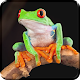 Frog Live Wallpaper Free Download on Windows